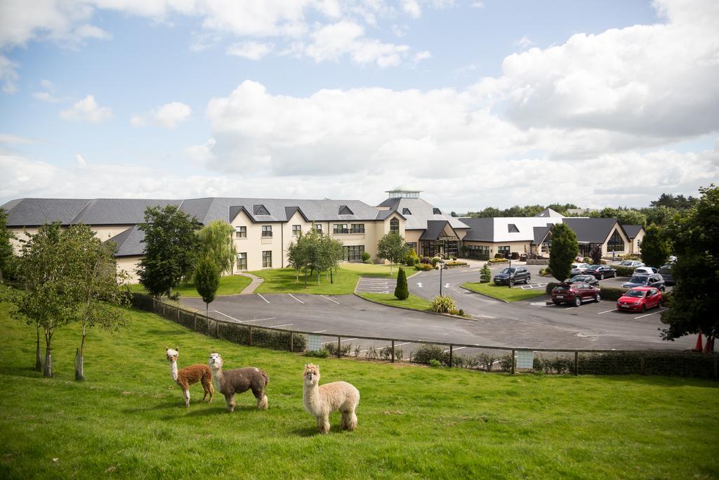 Clanard Court Hotel アシー エクステリア 写真